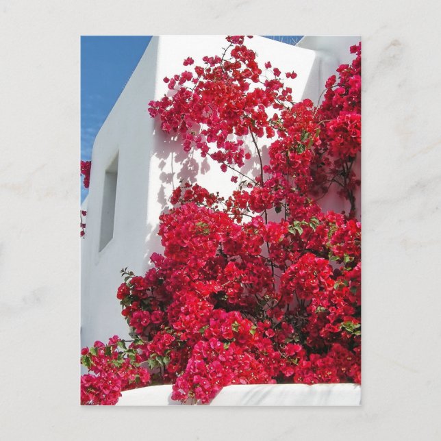 Häuser Mykonos Postkarte (Vorderseite)