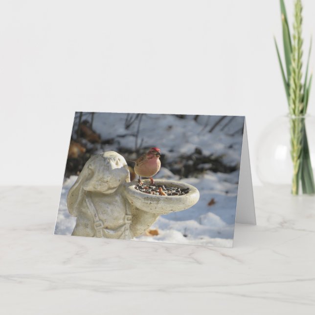 Hausgebühr für Kaninchenvogelfutter Karte (Vorderseite)