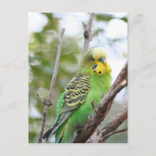Haushalt Postkarte