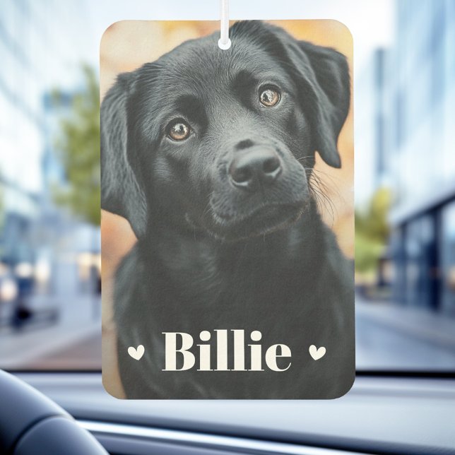 Haushunde Katzen Namen Herzen zwei Fotos Autolufterfrischer (Pet dog cat name hearts two photos air freshener)