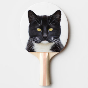 Hauskatze für Fotos Tischtennis Schläger