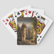 Hauskatze Gartenhof TIERE Poker