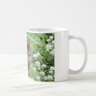 Hauskatze Kaffeetasse