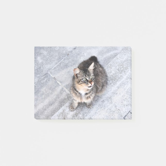 Hauskatze Post-it Klebezettel (Vorderseite)