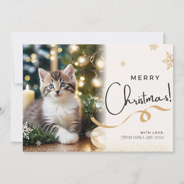 Hauskatze Weihnachtskarte Feiertagskarte (Vorderseite)
