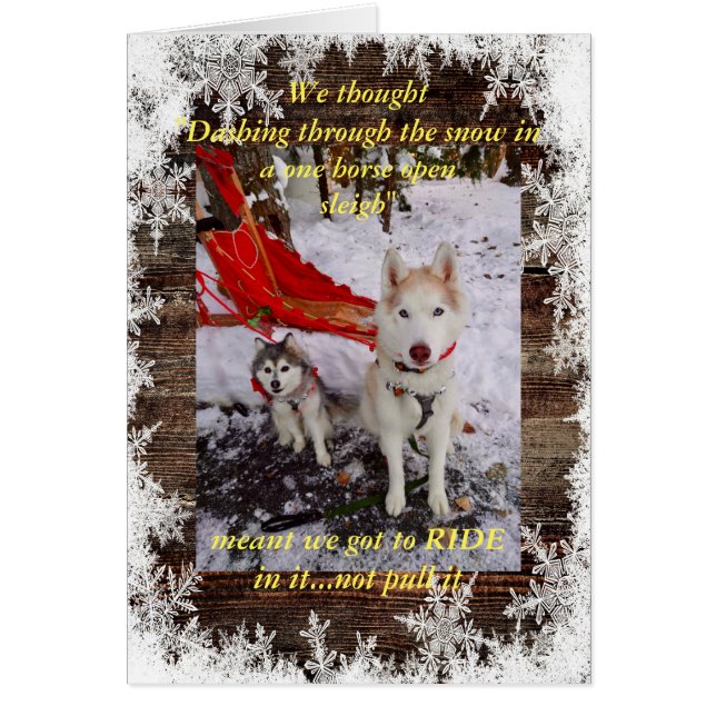 Hausky traîneau (Devant)