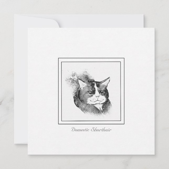 Häusliche Kurzhaarkatze und Kohlenkatze Mitteilungskarte (Vorderseite)