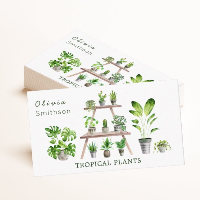 Hauspflanze und sukkuläre botanische Pflanze Visitenkarte (Von Creator hochgeladen)