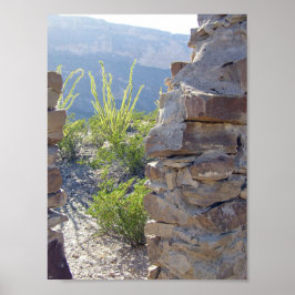 Hausruine, Big Bend National Park, Texas Poster