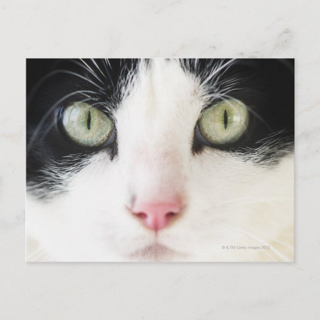 Hausschuhe Postkarte (Vorderseite)