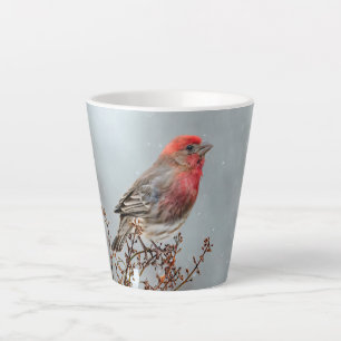 Haussperling im Schnee - Originalfotografie Milchtasse