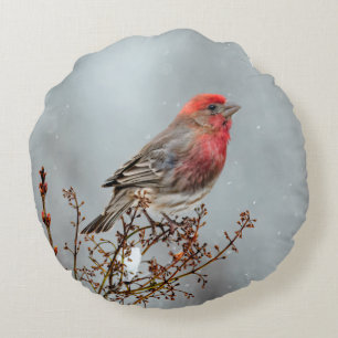 Haussperling im Schnee - Originalfotografie Rundes Kissen