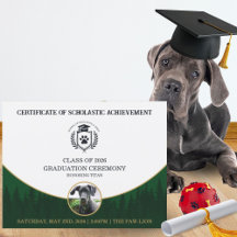 Haustier-Abschlusszeugnis Hundetraining-Diplom