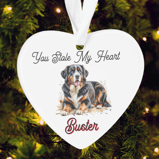Haustier Aquarell Braun Berner Sennenhund Personal Ornament