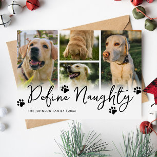 Haustier Definiere Unartig Multi Foto Weihnachten