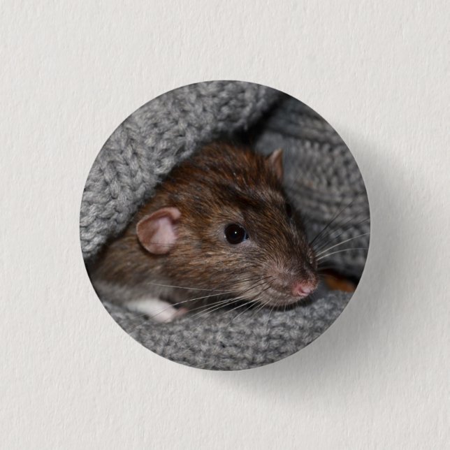 Haustier Dumbo Ratten-Knopf/Abzeichen Button (Vorderseite)