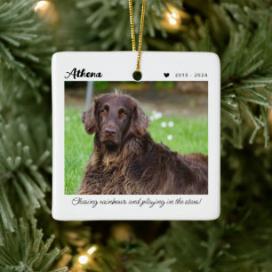 Haustier-Erinnerungsgeschenk In liebevoller Erin Keramikornament