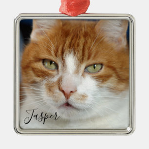 Haustier-Foto Name Weihnachten Ornament Aus Metall