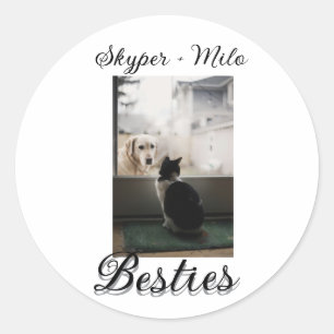 Haustier Freunde beste Freunde Name Haustier Foto  Runder Aufkleber
