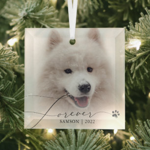 Haustier-Gedenkstätte Benutzerdefinierter Foto-H Ornament Aus Glas