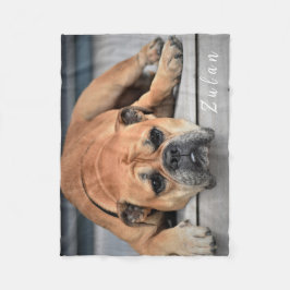 Haustier Hund Chubby Continental Bulldog Fleecedecke