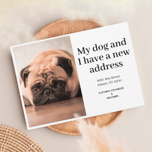 Haustier-Hund-Foto Neue Adresse Umzug bekanntgabe