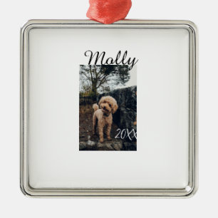 Haustier Hund Katze Tier Geburtstagsfoto modern Ja Ornament Aus Metall