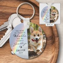 Haustier Hund Memorial Favorit Hallo Foto Rainbow
