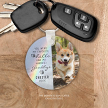 Haustier Hund Memorial Favorit Hallo Foto Rainbow