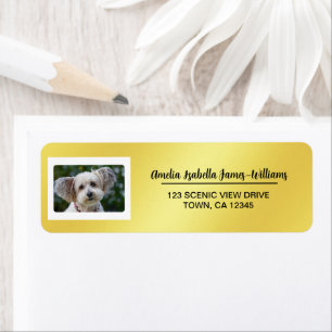 Haustier-Hundefoto Elegant Moderne Rücksendeadress
