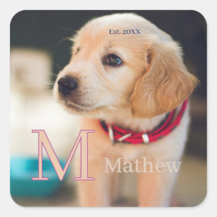 Haustier-Hundefoto est Jahr Name Monogramm Katze E Quadratischer Aufkleber