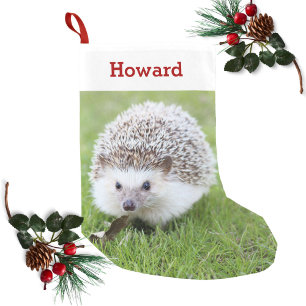 Haustier-Igels-Liebhaber-Inhaber-Foto u. Name Kleiner Weihnachtsstrumpf