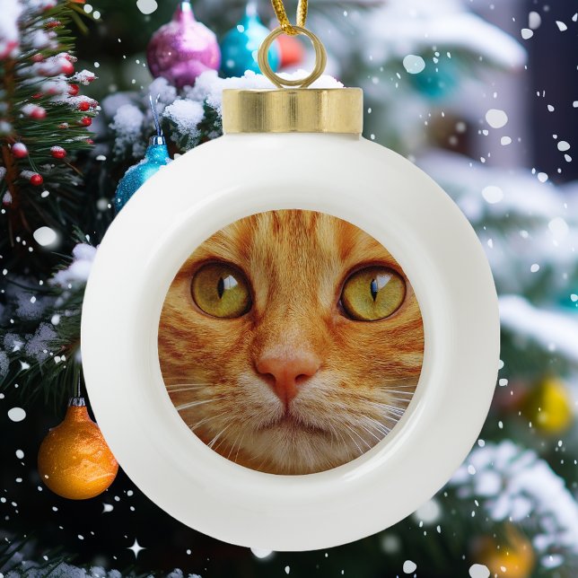 Haustier Katze Benutzerdefiniertes Foto Keramik Kugel-Ornament (Von Creator hochgeladen)