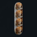 Haustier-Katze-Foto Benutzerdefinierte gepolte Vor Skateboard<br><div class="desc">Dieses Design kann in dem Bereich personalisiert sein, der durch das Ändern des Fotos und/oder Textes bereitgestellt wird. Oder es kann durch Klicken angepasst werden, um weitere Optionen anzupassen und die Hintergrundfarbe zu löschen oder zu ändern, Text hinzuzufügen, Textfarbe oder -stil zu ändern oder Text für ein nur bildliches Design...</div>