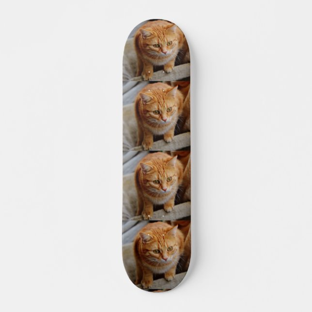 Haustier-Katze-Foto Benutzerdefinierte gepolte Vor Skateboard (Vorne)
