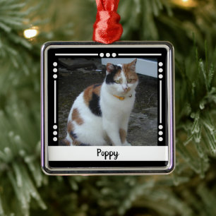 Haustier Katze Foto Urlaub Schwarz-weiß Ornament Aus Metall