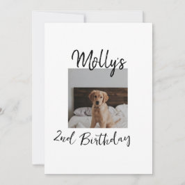 Haustier Katze Geburtstag Foto modern Einladung