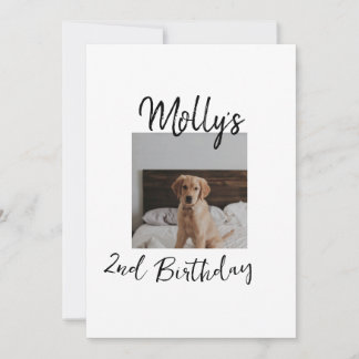 Haustier Katze Geburtstag Foto modern Einladung