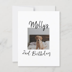 Haustier Katze Geburtstag Foto modern Postkarte