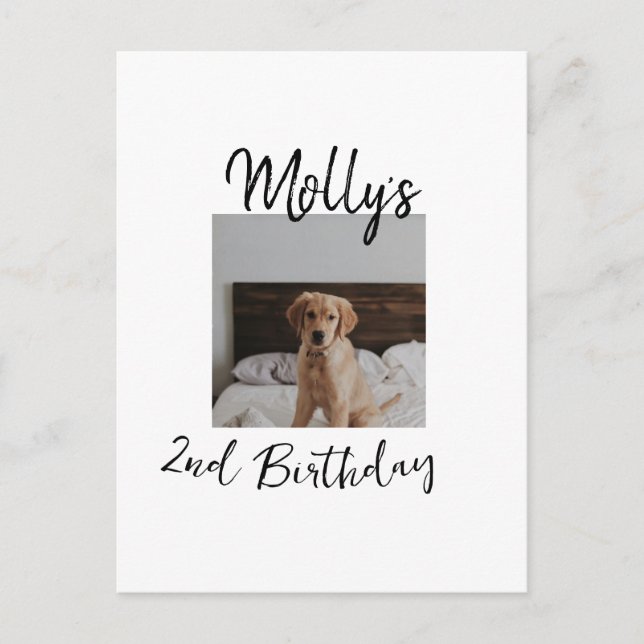 Haustier Katze Geburtstag Foto modern Postkarte (Vorderseite)