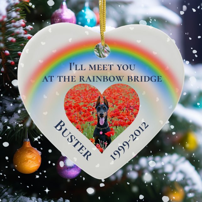 Haustier Katze Rainbow Bridge Foto Custom Keramik Ornament (Von Creator hochgeladen)