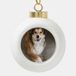 Haustier keramik Kugel-Ornament