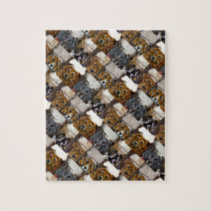 HAUSTIER-KUNST FÜR KÖCHE