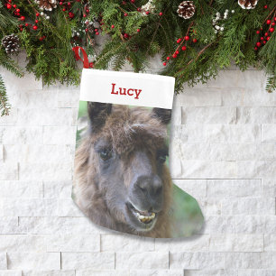 Haustier-Lama-Liebhaber-Inhaber-Foto u. Name Kleiner Weihnachtsstrumpf