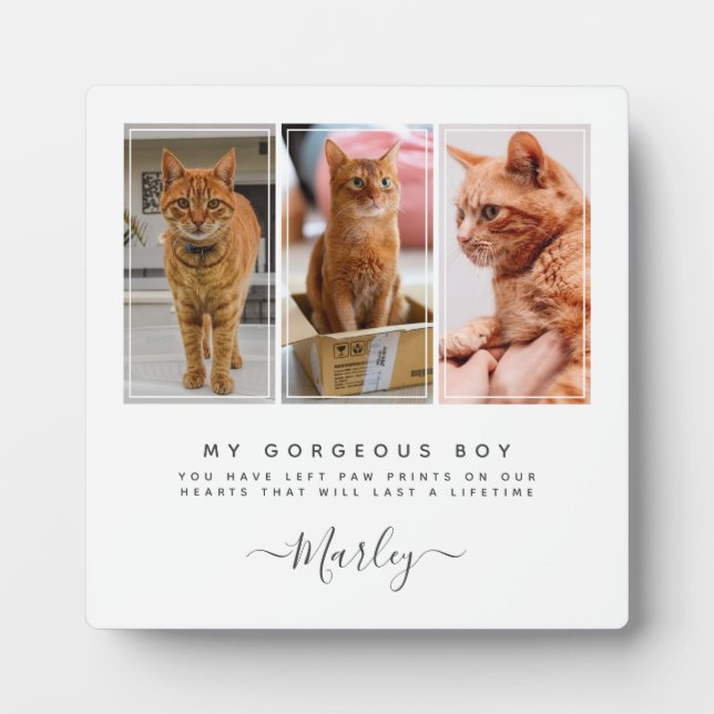 Haustier-Loss-Geschenk für Hunde und Katze, Gedenk Fotoplatte (Vorderseite)