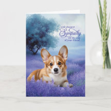Haustier-Mitgefühl Pembroke Welsh Corgi Hund Laven