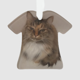 Haustier Ornament