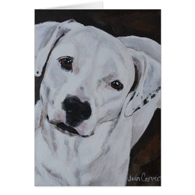 Haustier-Porträt - amerikanische Bulldogge (Vorne)