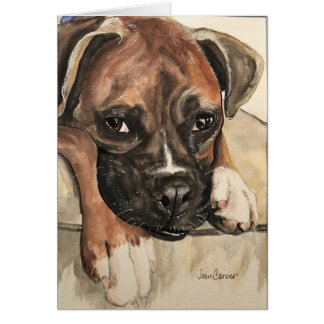 Haustier-Porträt - Boxer