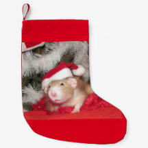 Haustier-Ratte, Birke, WeihnachtsStrumpf